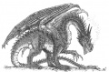 Schwarzer Drache.jpeg